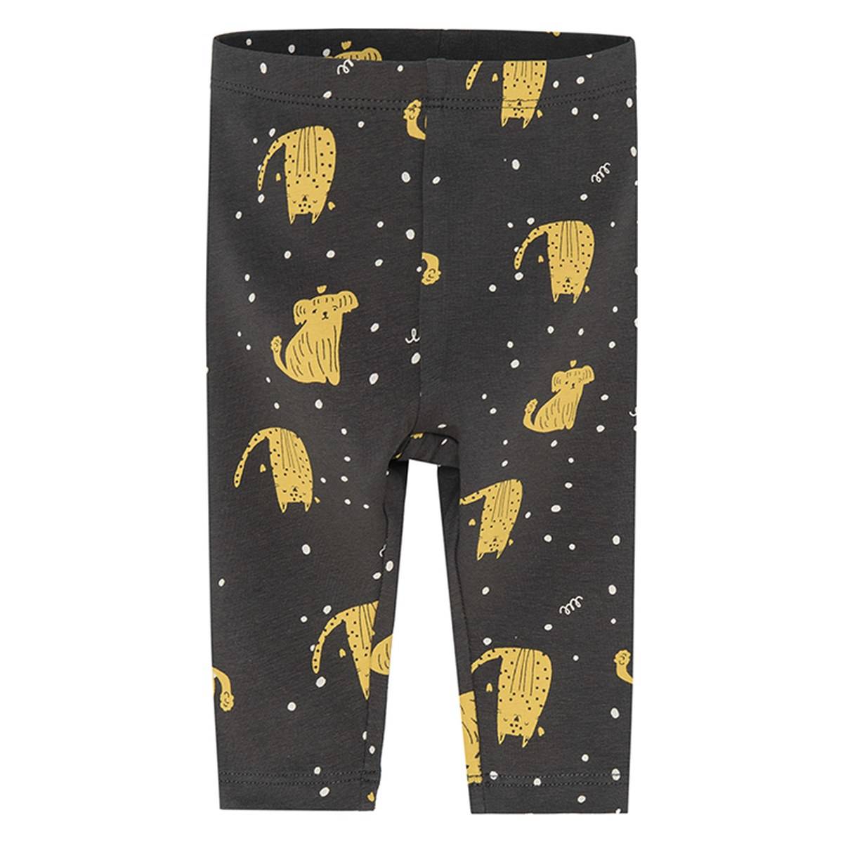 Cool Club pajkice CCG2500302 D VEČBARVNO 74