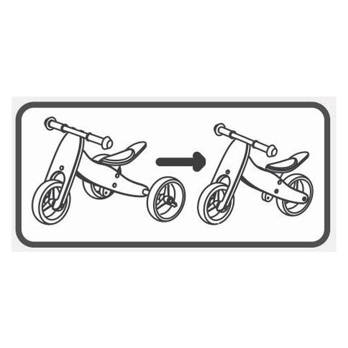 Free 2 Move leseni trikolesnik in poganjalec 2v1, Rider PLUS black