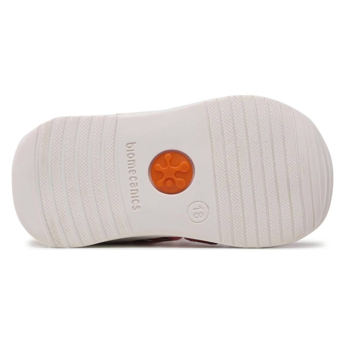 Biomecanics sandal 222114A D rossini (sauvage) 21