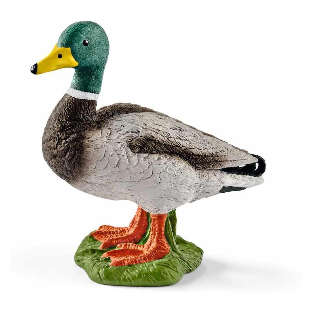 Schleich Raca