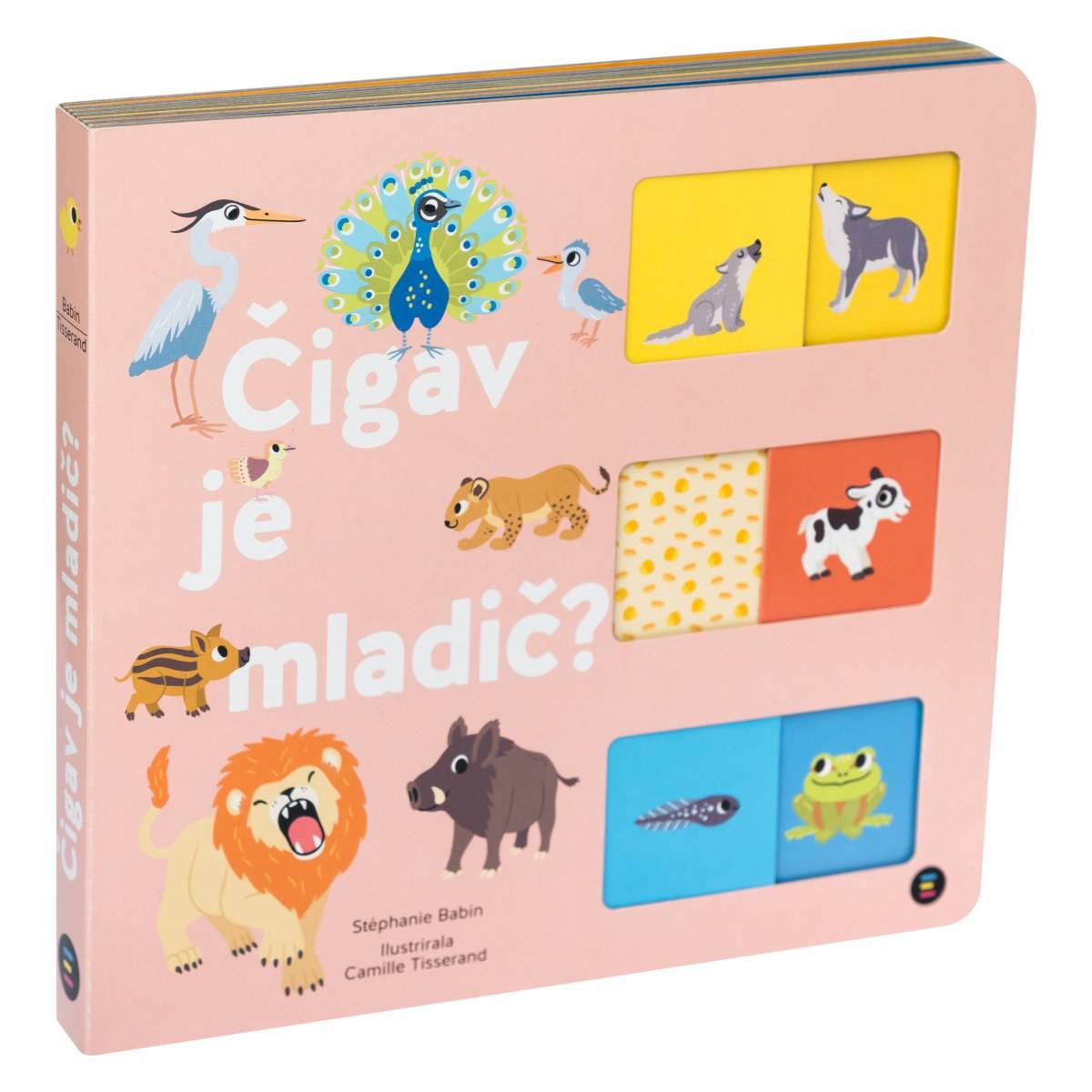 Epistola Založba Kartonka Čigav je mladič
