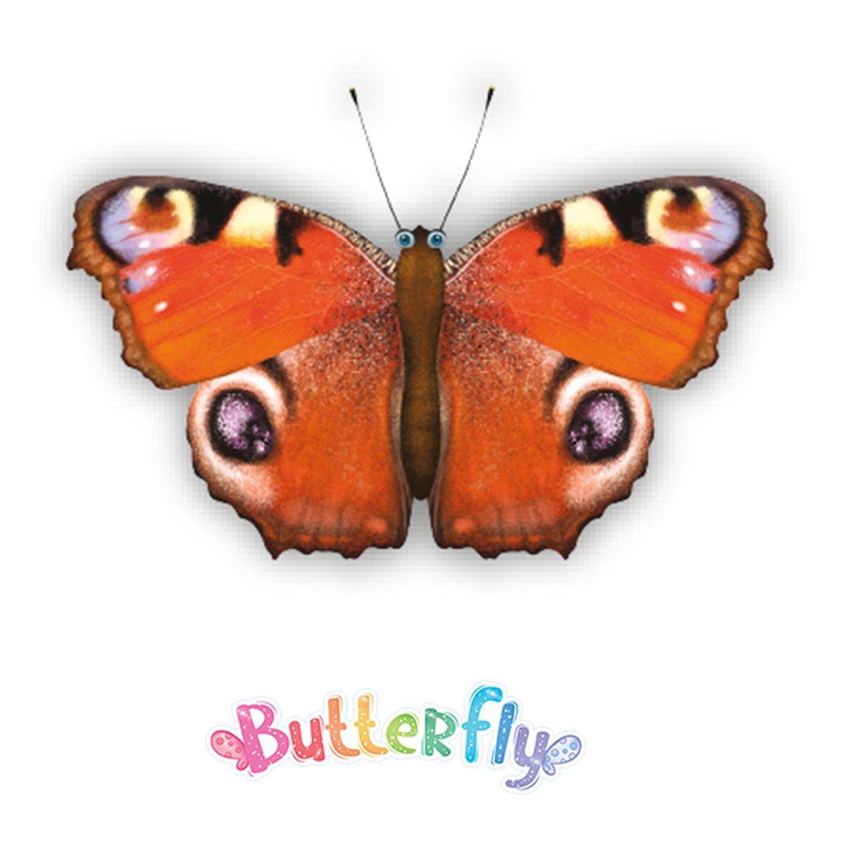 Sbabam Metuljček Butterfly