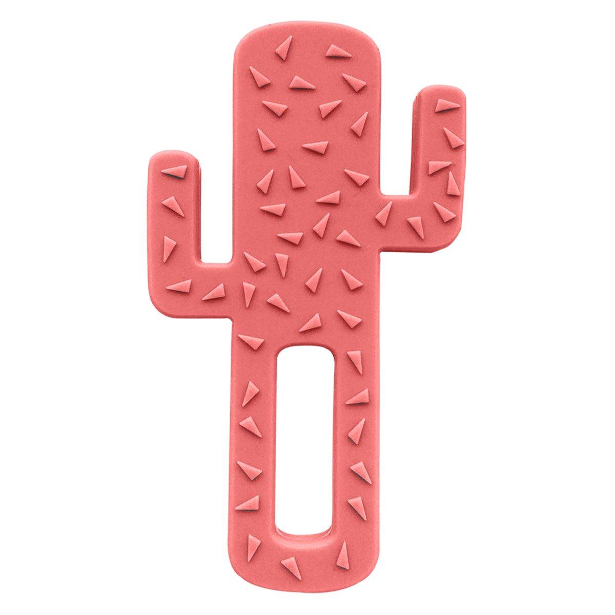 Minikoioi grizalo CACTUS silikonsko kaktus rose