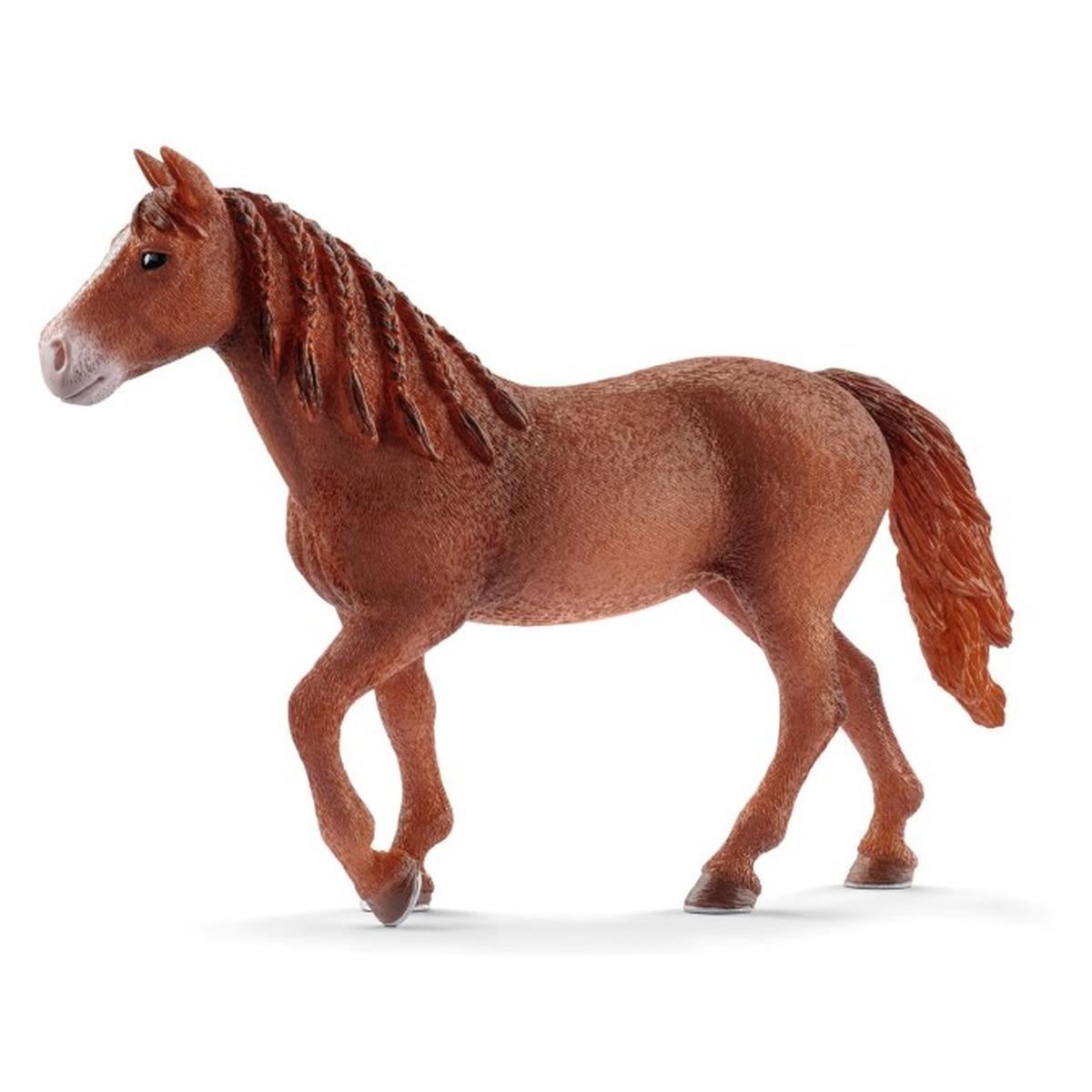 Schleich kobila Morgan