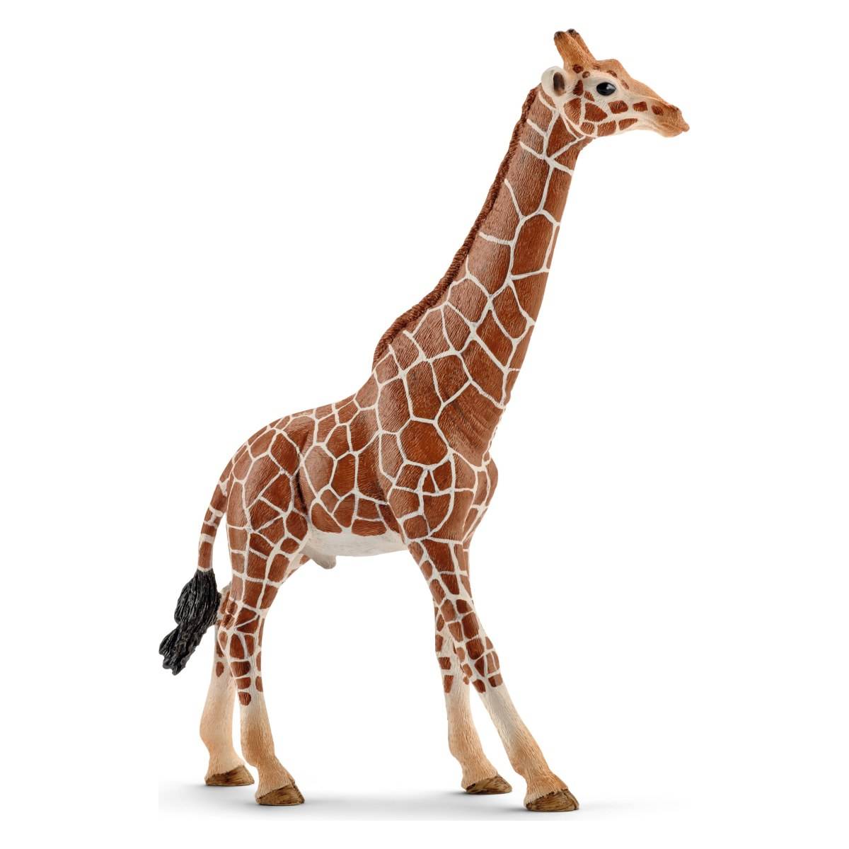 Schleich žirafa, samec