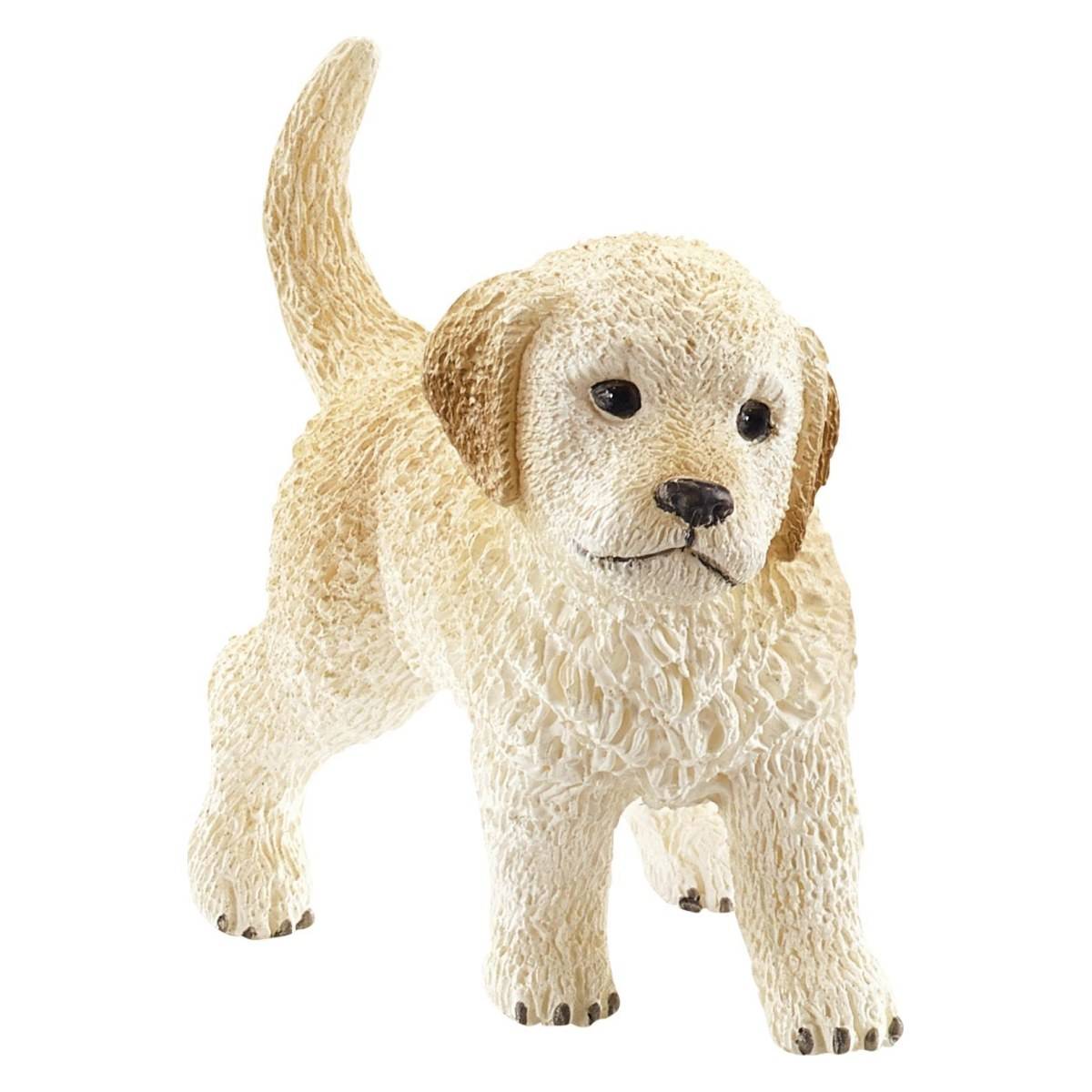 Schleich zlati prinašalec, mladič