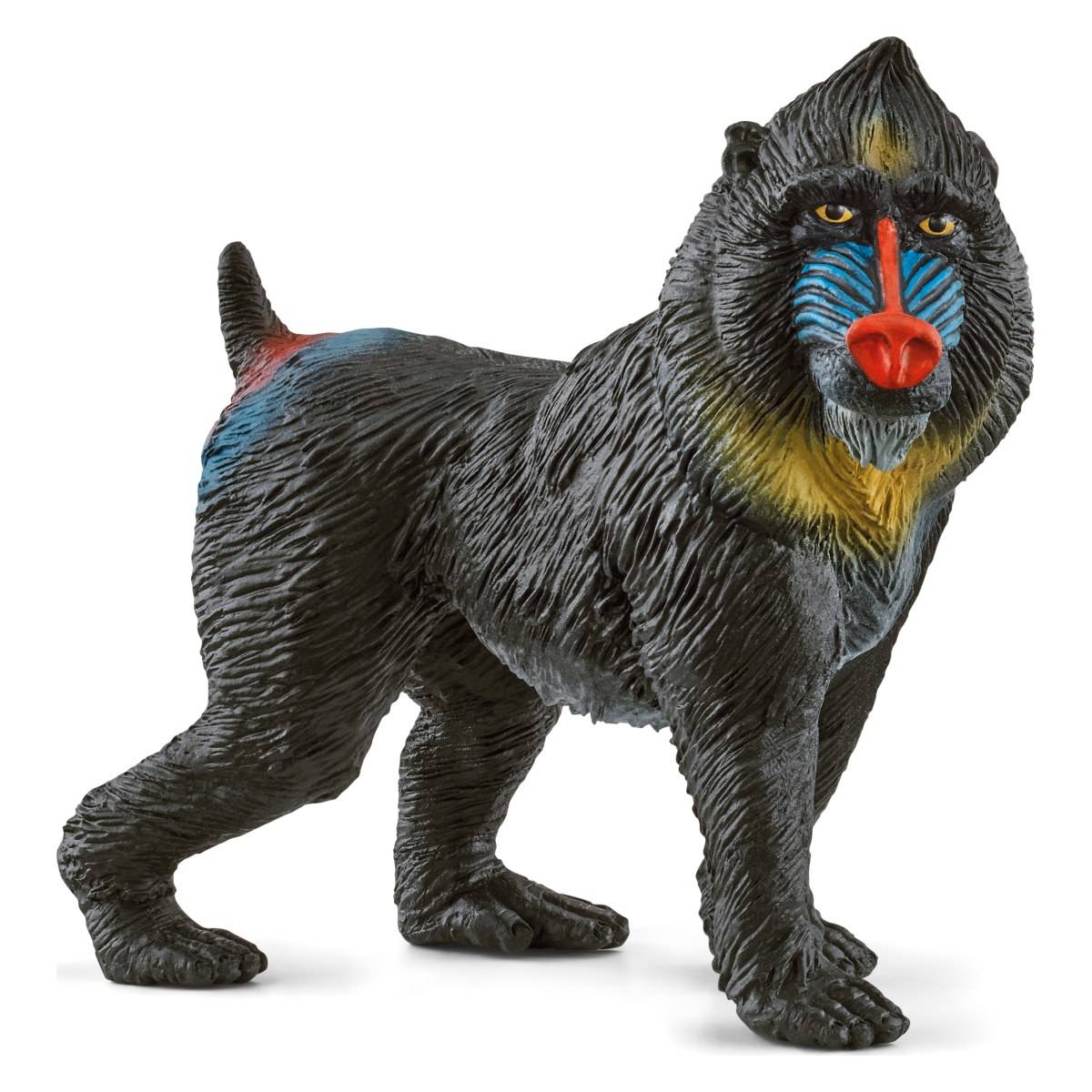 Schleich mandril, največja opica med sesalci