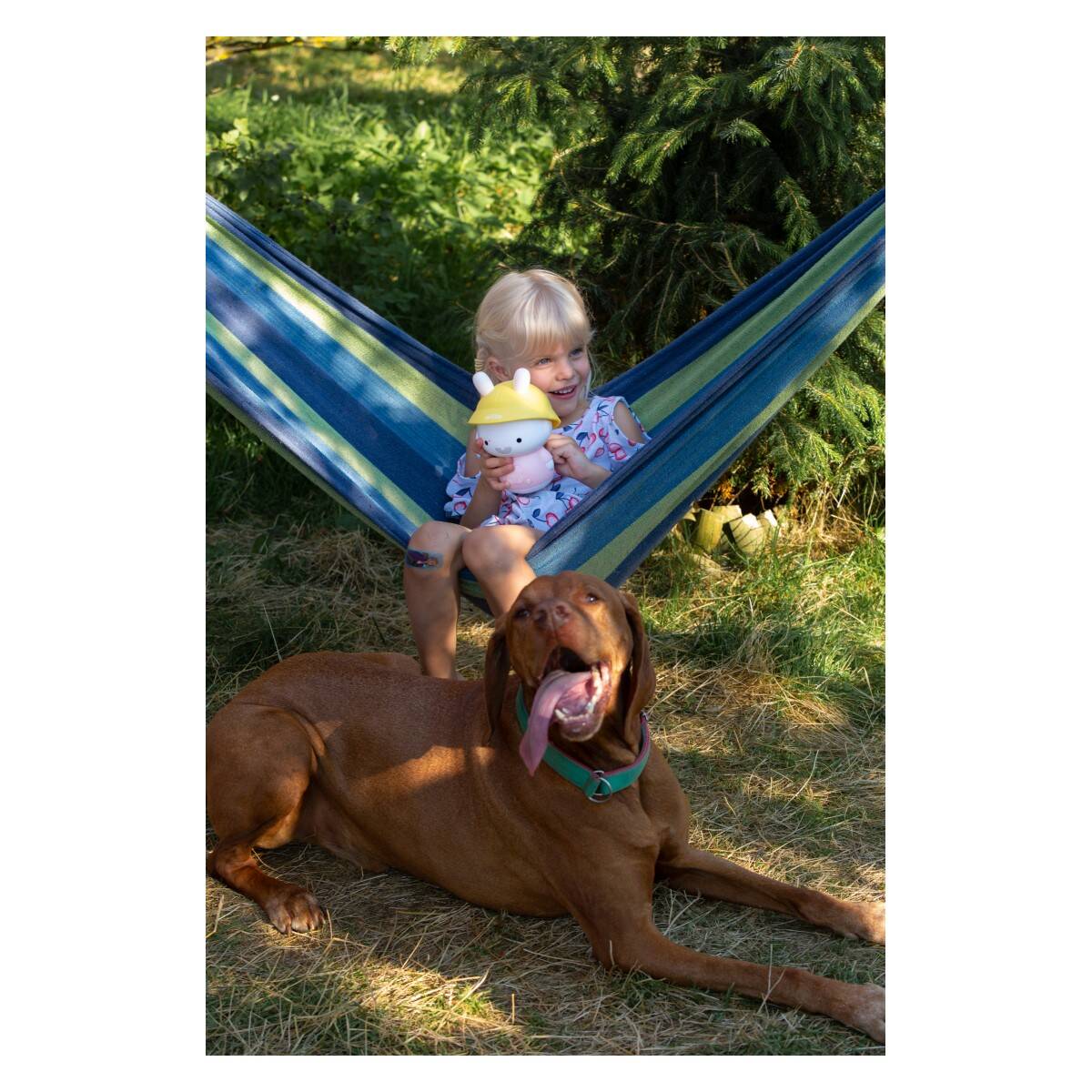 ALILO edukativna igračka  Baby Bunny G9S+ ,plava AL-G9SPLUS-B-HR