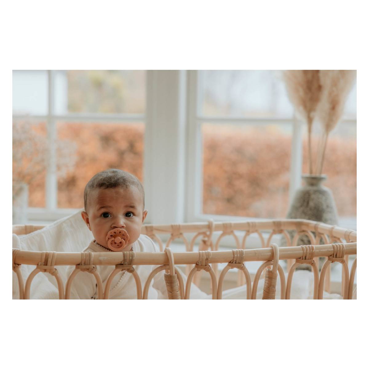 BIBS duda varalica - lateks (kaučuk) - Peach/Woodchuck (vel. 2) BIBS-BOH-PW-2