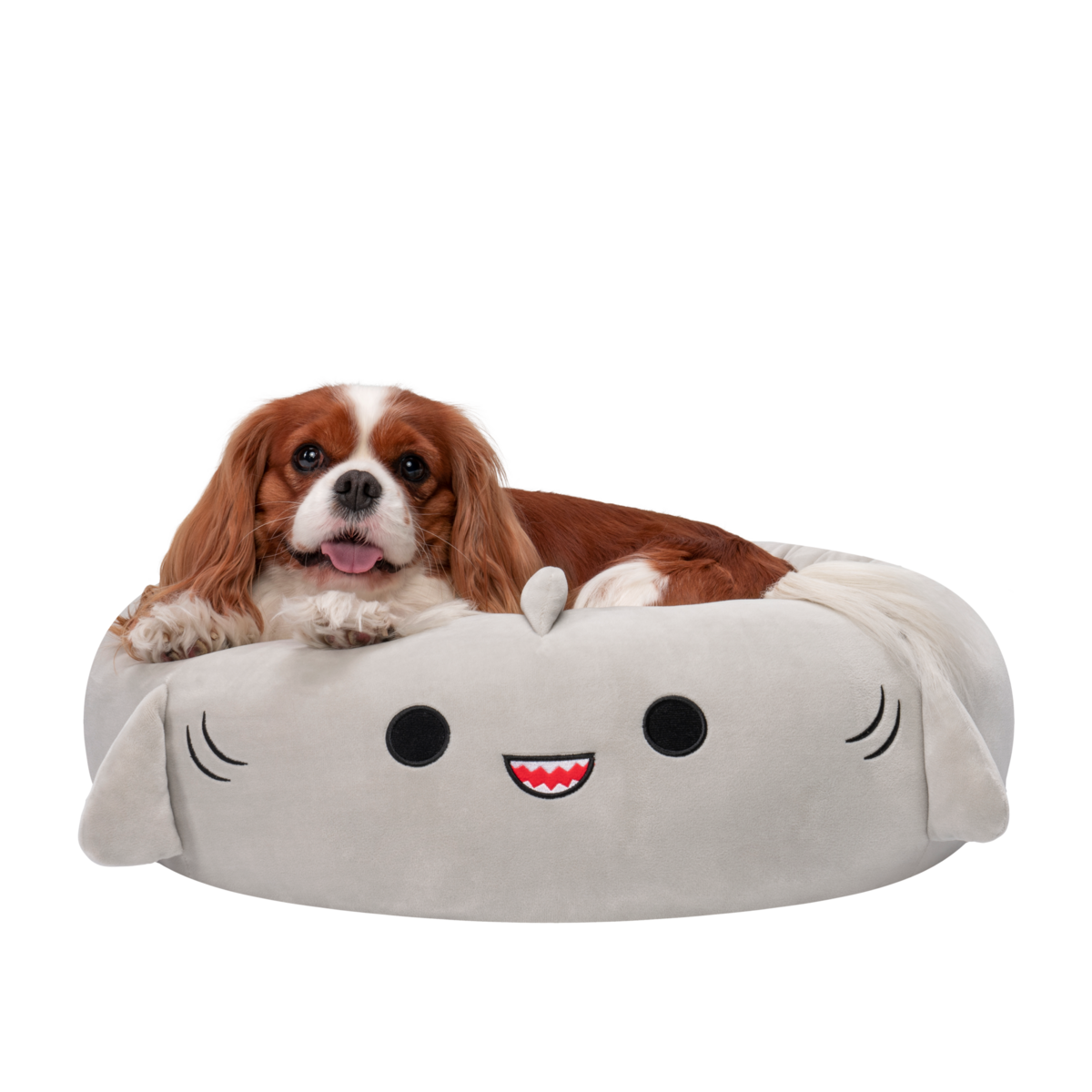 Squishmallows Pets Ležišče (S) 50CM - GORDON MORSKI PES