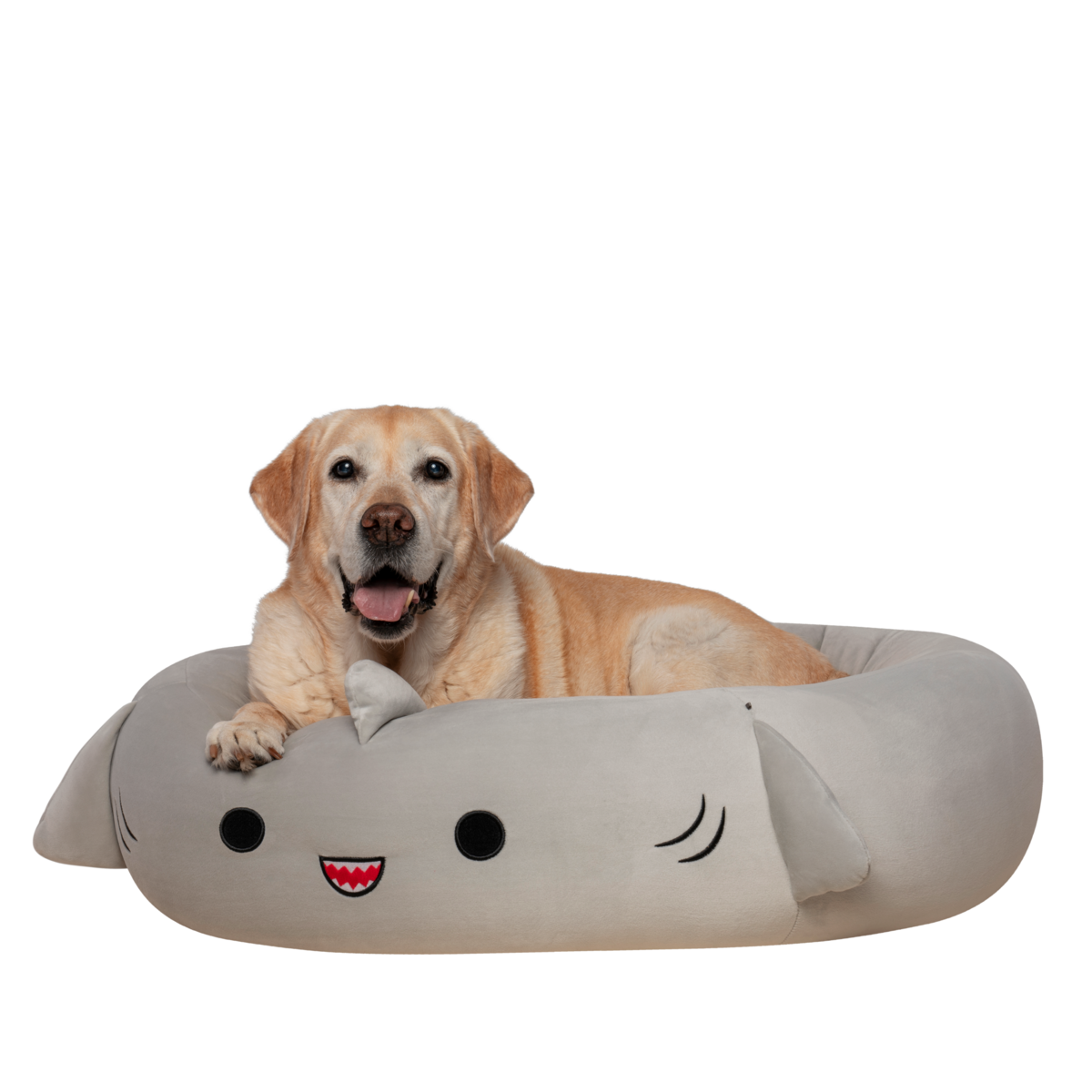 Squishmallows Pets Ležišče (L) 76CM - GORDON MORSKI PES