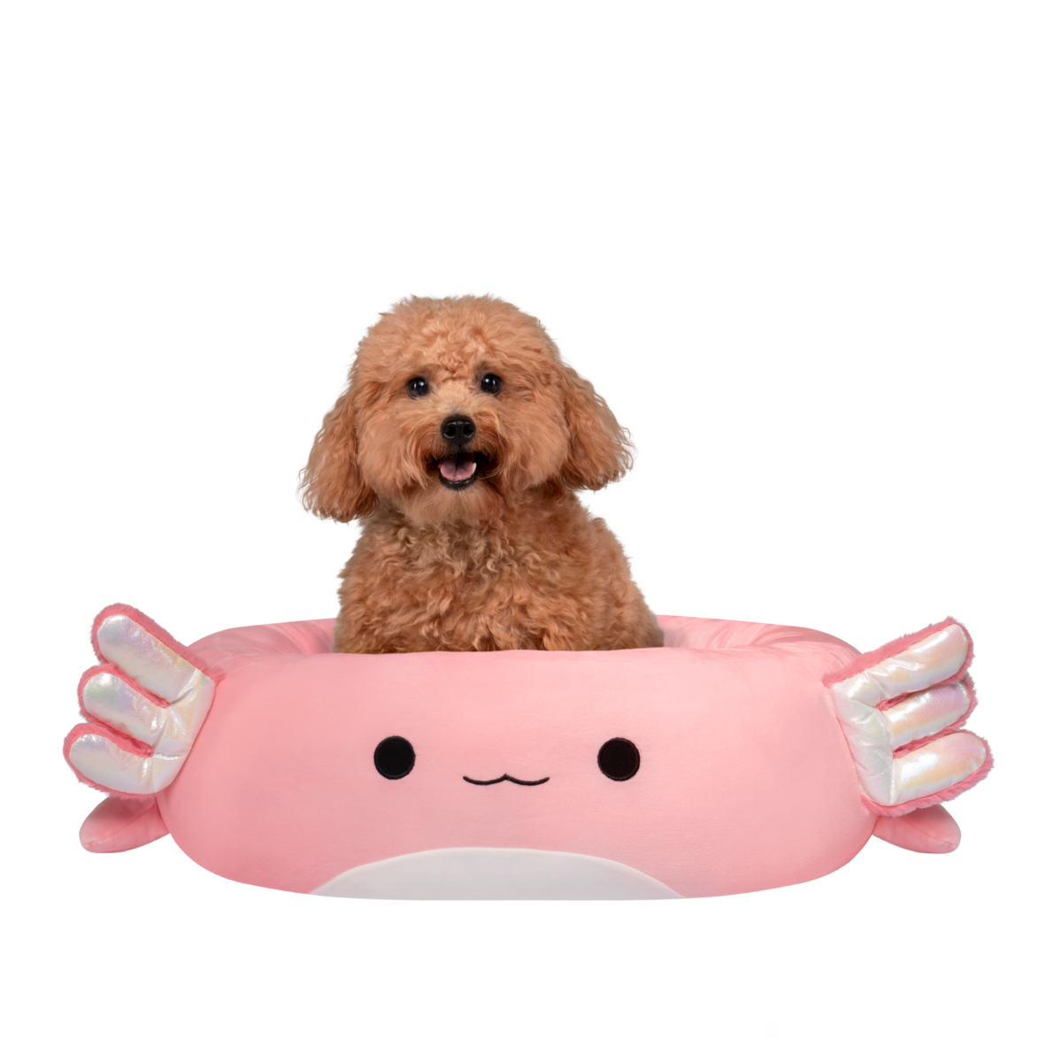 Squishmallows Pets Ležišče (S) 50CM - ARCHIE AKSOLOTL