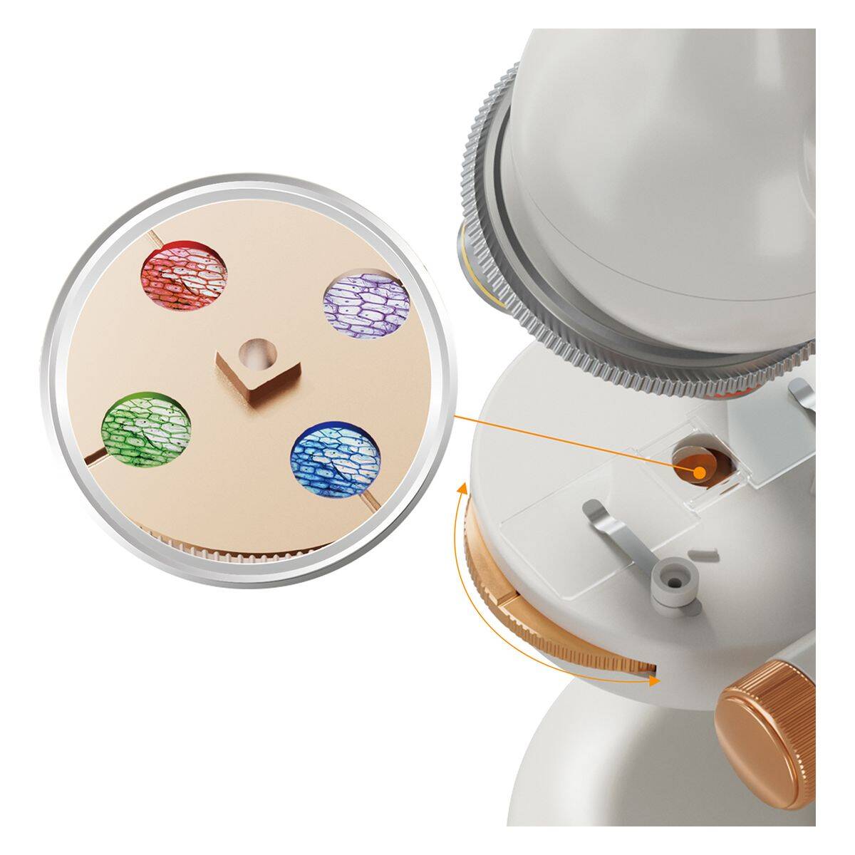 TOP BRIGHT set mikroskop 1600