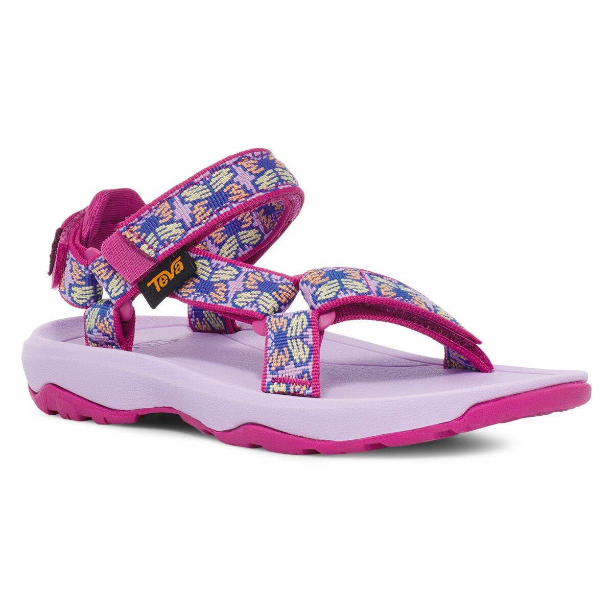 Teva 29 2024