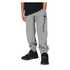 Champion Champion hlače trenirka DH 307070-EM006 F Siva 122