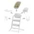 Cybex Cybex stol za hranjenje Lemo 4 v 1 set all white