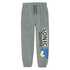 COOL CLUB COOL CLUB hlače trenirka DH LCB3111802 SONIC M Siva 110 COOL CLUB COOL CLUB hlače trenirka DH LCB3111802 SONIC M Siva 110