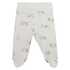 Bistyle Bistyle sp. deli žabice do pasu DH 16148 U Bela 62 Bistyle Bistyle sp. deli žabice do pasu DH 16148 U Bela 62