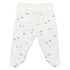 Bistyle Bistyle sp. deli žabice do pasu DH 16156 F Bela 56 Bistyle Bistyle sp. deli žabice do pasu DH 16156 F Bela 56