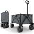 Kinderkraft Kinderkraft Transportni voziček Rollster anthracite
