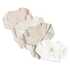 Cool Club Cool Club perilo bodi 4 kosi DR LCG3301559-00 WINNIE THE POOH D Večbarvno 56