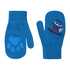 Icepeak Icepeak rokavice 1 prst 852865300I HOMBERG KD F Modra UNI